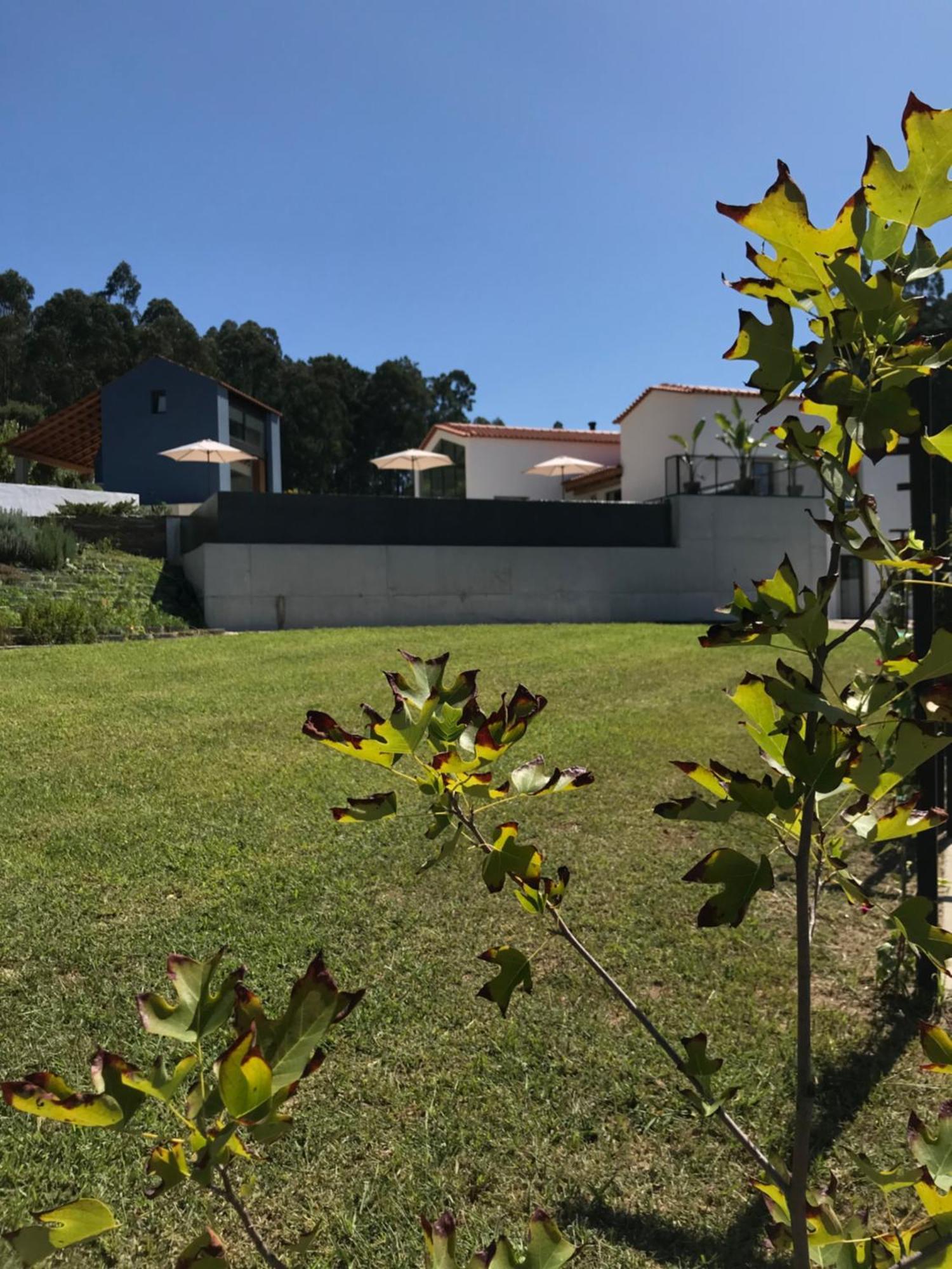 Casa Da Milheira - Agroturismo 奥利韦拉-迪阿泽梅什 外观 照片