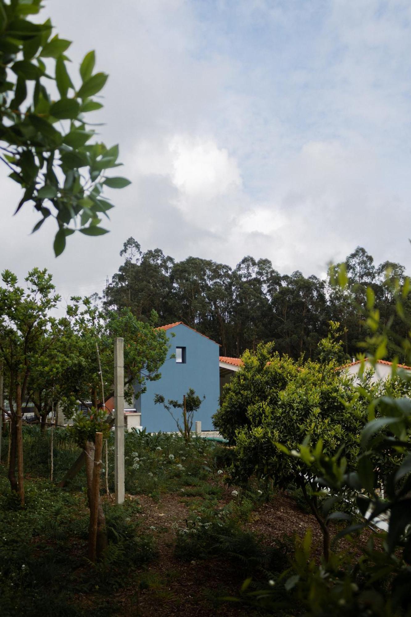 Casa Da Milheira - Agroturismo 奥利韦拉-迪阿泽梅什 外观 照片